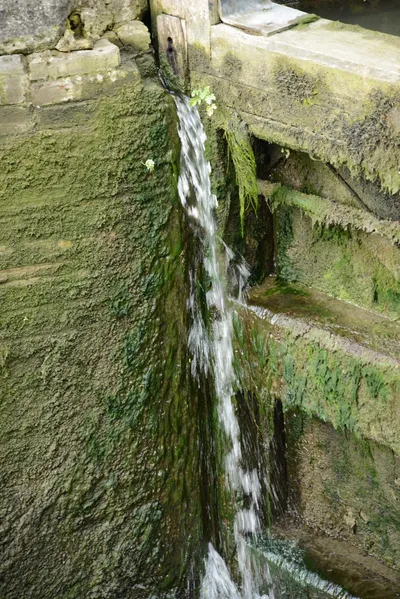 DSC_2708 (Large).JPG